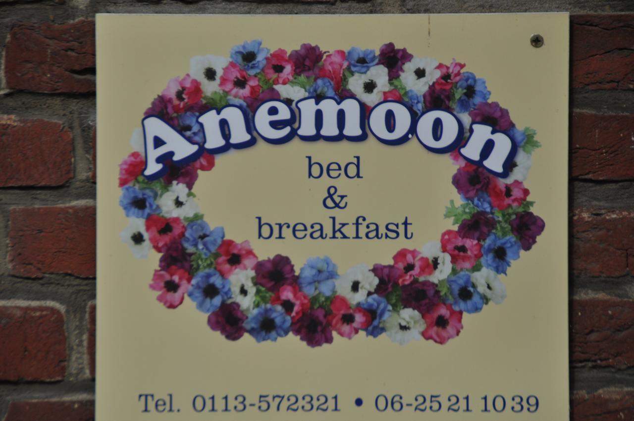 يرسك B&B Anemoon المظهر الخارجي الصورة