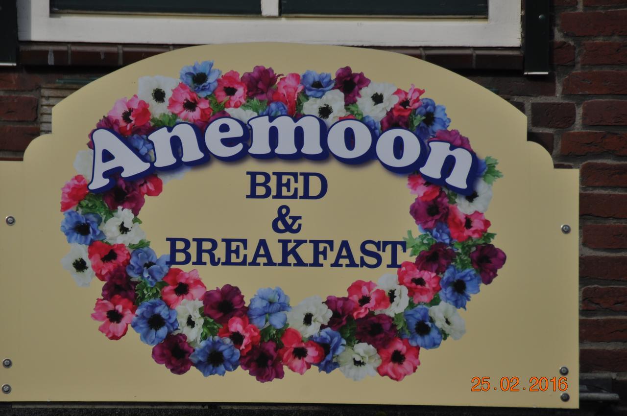 يرسك B&B Anemoon المظهر الخارجي الصورة